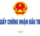 tu-van-thanh-lap-chi-nhanh-nn-tai-viet-nam.jpg